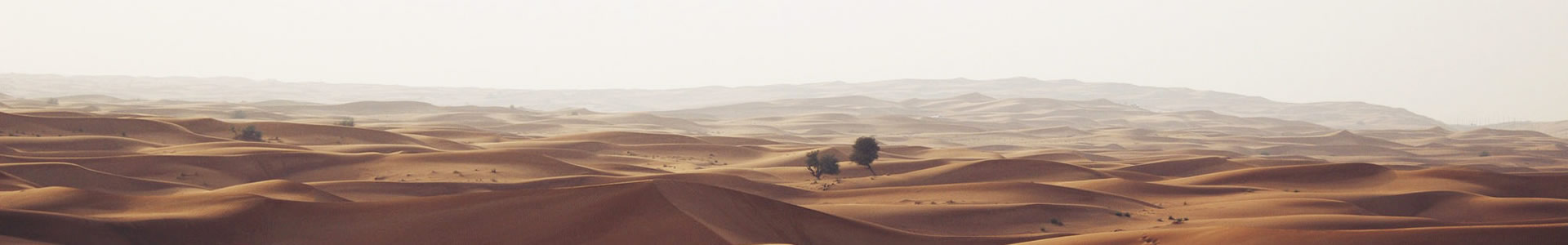 չ˼һƼ޹˾